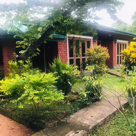 Sunshine Resort & Spa Sigiriya Buitenkant foto
