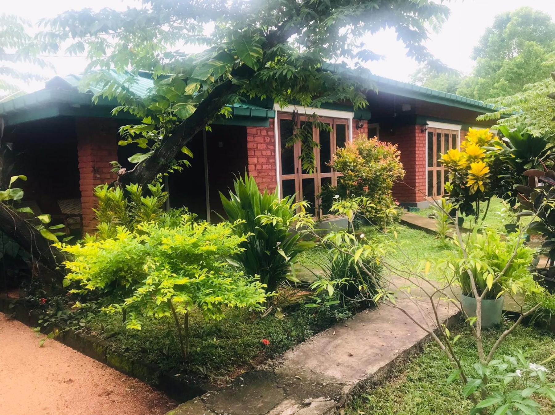 Sunshine Resort & Spa Sigiriya Buitenkant foto