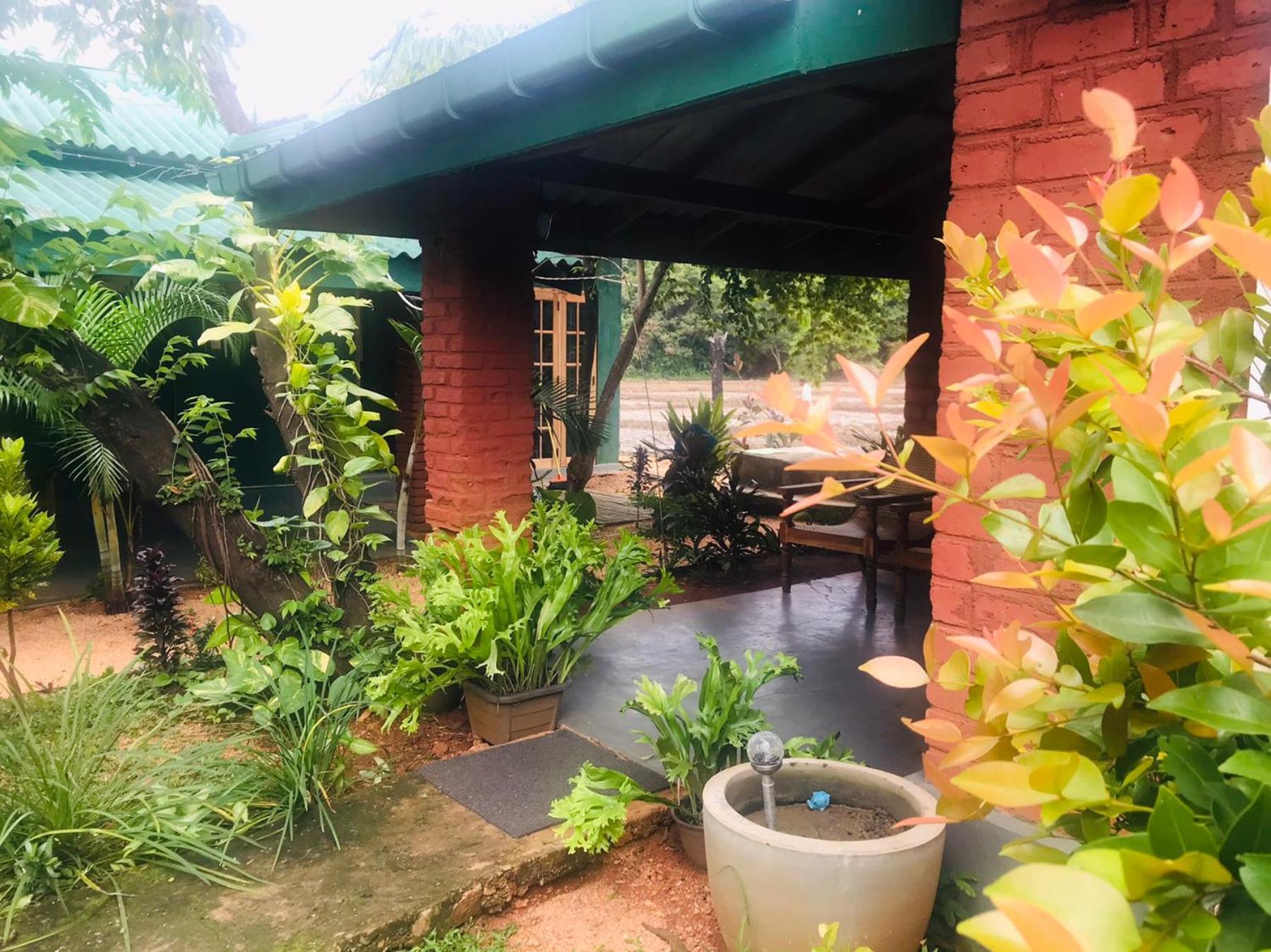Sunshine Resort & Spa Sigiriya Buitenkant foto
