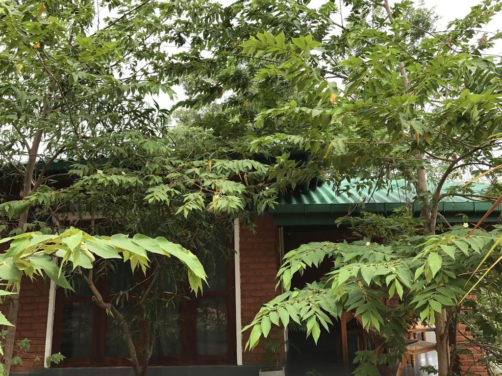 Sunshine Resort & Spa Sigiriya Buitenkant foto