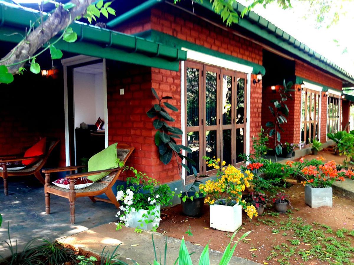 Sunshine Resort & Spa Sigiriya Buitenkant foto